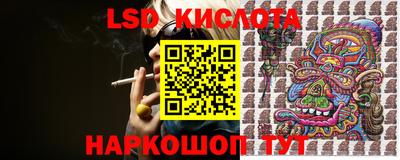 МДПВ Бийск