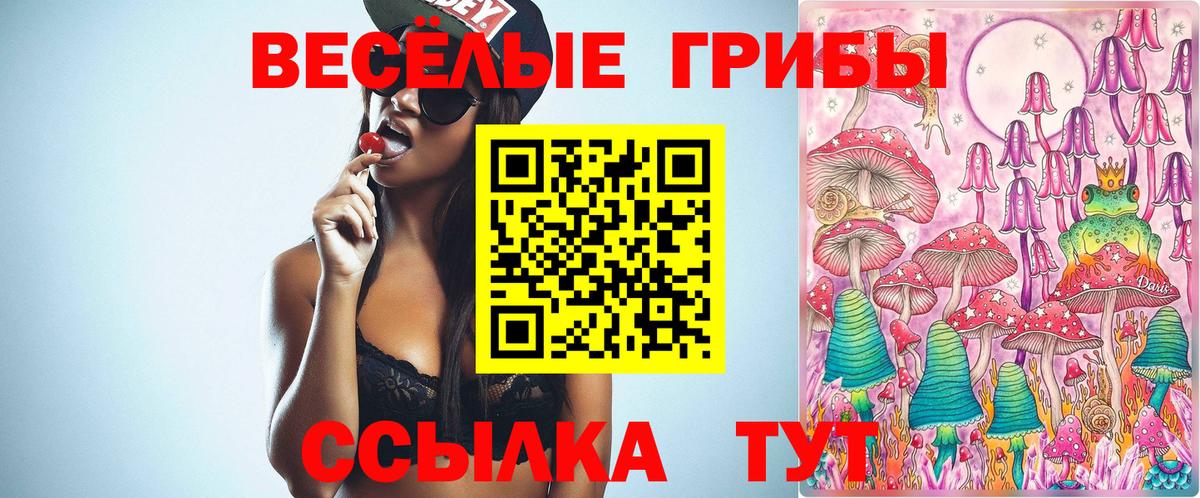 Каменск-Шахтинский  Галлюциногенные грибы Cubensis  Вход с VPN 